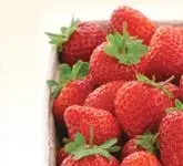 (min-width: 768px)