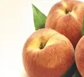 (min-width: 768px)