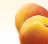 (min-width: 768px)