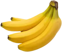 (max-width: 767px)