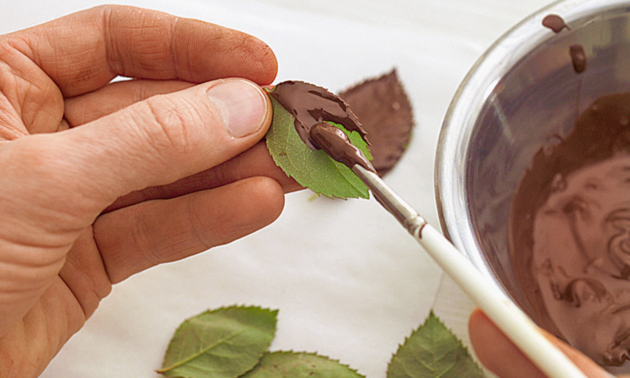 Picture - feuilles de chocolat recouvrir
