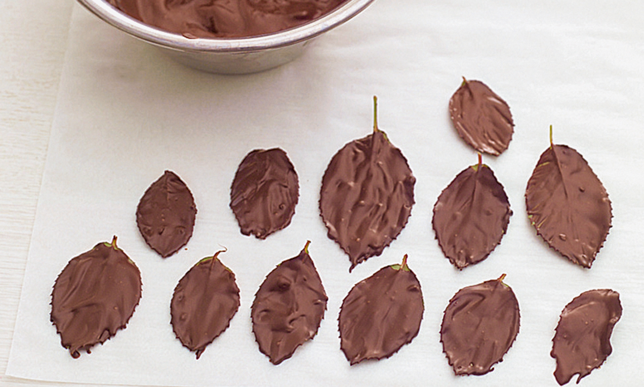 feuilles de chocolat déposer